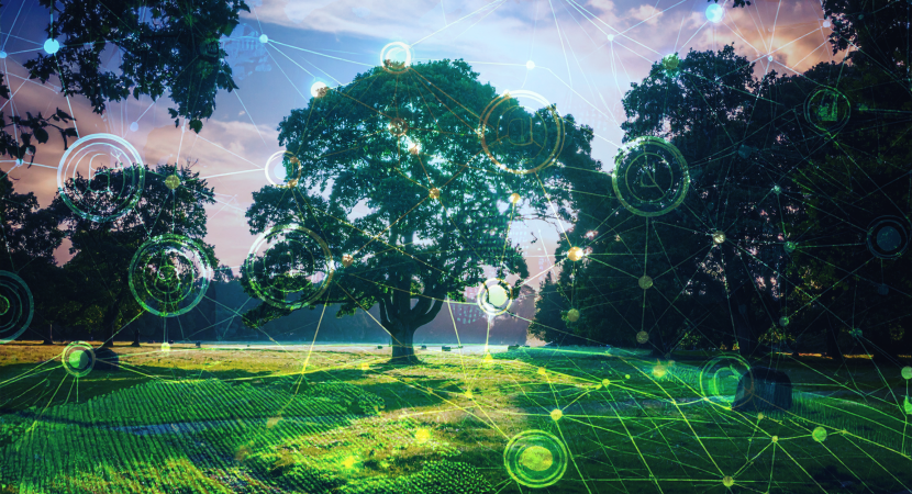 Building an AI Commons for Canada’s Future